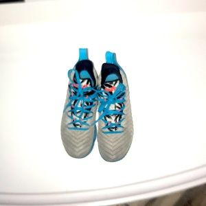 Lebron 6 basketball shoe